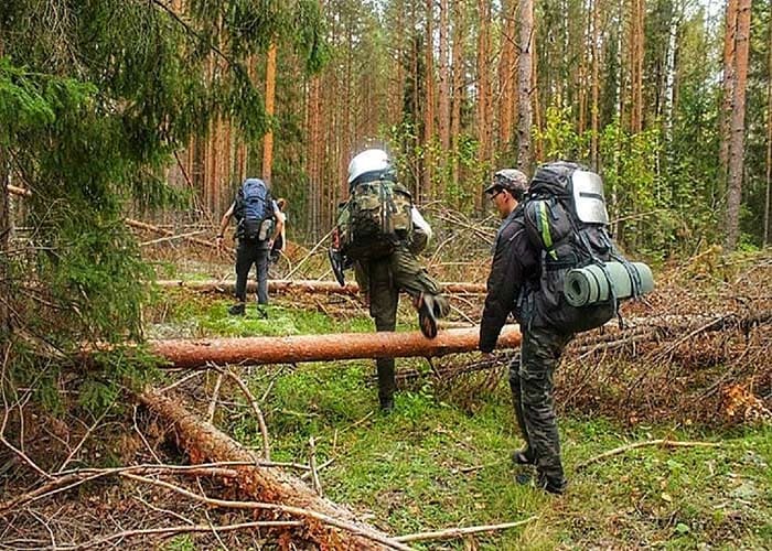 pohody-v-les | survival-skills.ru - bez-paniki-v-lesu